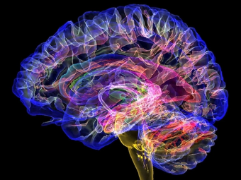 潮吹视频色色大脑植入物有助于严重头部损伤恢复